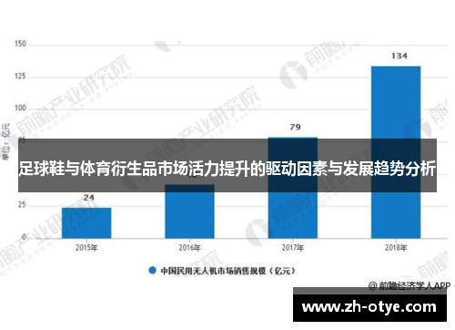 足球鞋与体育衍生品市场活力提升的驱动因素与发展趋势分析